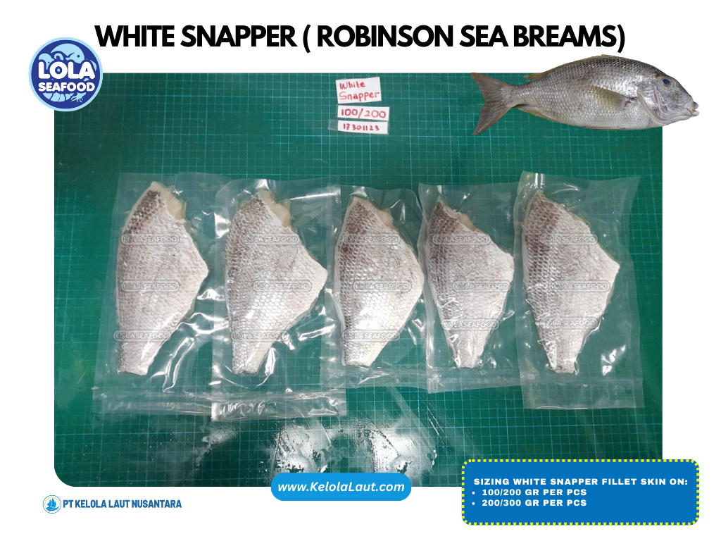 White Snapper / Robinson Sea Bream  Fillet Skin On